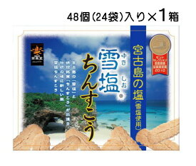 雪塩ちんすこう 大 48個入り×1箱 レターパックプラス発送 送料無料