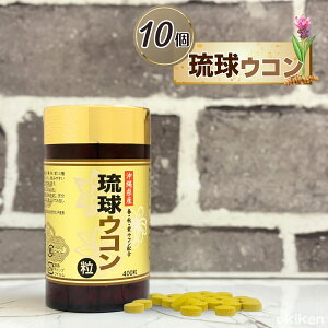 ER N Tvg ^Cv ER 400×10Zbg ꌧY tER HER ER T  3 ER ER̔