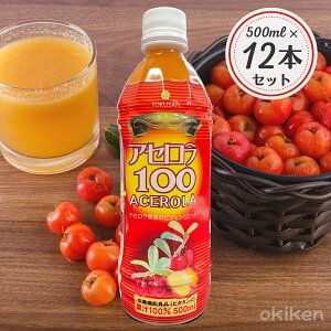 アセロラドリンク アセロラ100 アセロラジュース 500ml×12本セット 果汁100% 無添加 砂糖不使用 ビタミンC 栄養機能食品 ストレート ジュース 送料無料 沖縄特産販売