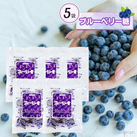 ブルーベリー糖 100g×5袋セット 砂糖菓子 お菓子 キャンディ 沖縄 お土産 個包装 お取り寄せ スイーツ …