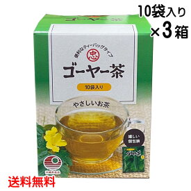 ゴーヤ茶 ティーバッグ 10包×3箱セット お茶 ティーパック 種入り ゴーヤー にがうり 健康茶 ゴーヤ 苦瓜 苦くない 送料無料 比嘉製茶