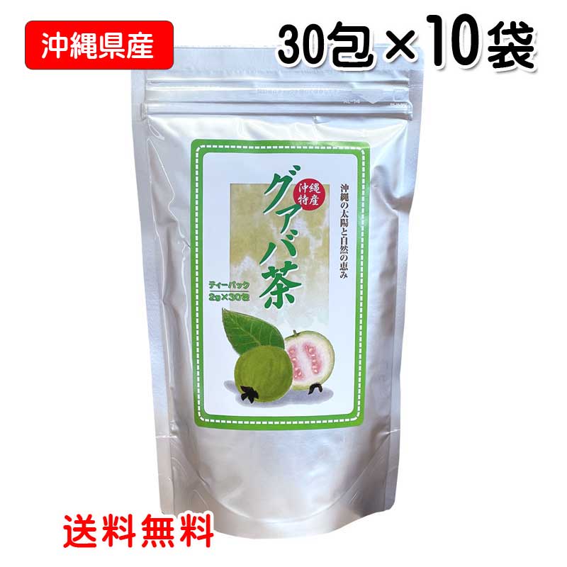 限定製作 グァバ茶ティーパック グァバ茶 ティーバッグ 沖縄県産 送料無料 茶