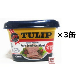【チューリップポーク】【エコパック】340g×3缶セット うす塩味 沖縄 ポークランチョンミート