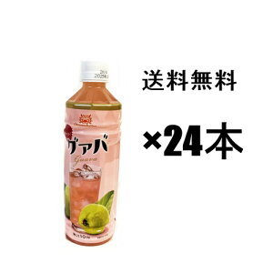 yO@oW[Xz{g[Y500ml×24{Zbg PPP