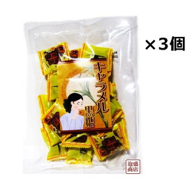 キャラメル黒糖 沖縄 100g×3袋セット 琉球黒糖 / 黒砂糖