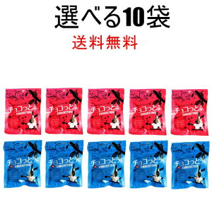 チョコっとう。選べる10袋セット!塩味とプレーン味 チョコレート黒糖&ココアパウダー PPP