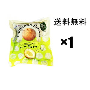 T[^[A_M[iV[N[T[j@160gi40g×4j×1,, @ n