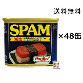 【スパム 減塩】 340g×48缶 (2ケース） 沖縄ホーメル ポークランチョンミート 缶詰