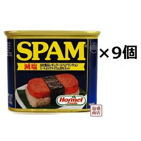 【 SPAM 】スパム 減塩 340g×9缶セット / 沖縄 ポーク 缶詰