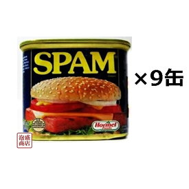 スパム レギュラー 340g×9缶セット ポークランチョンミート缶詰 沖縄