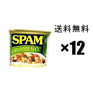 Xp@spam ʋl@ny[j@340g×12ʃZbg / |[N`~[g