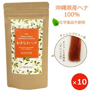  g[gg wAJ[ Ȃwi IWuE 100g ×10 Ywi100% i`wi Y Y  ڂ IWF {