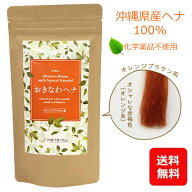 ヘナカラー 白髪染め トリートメント ヘナ オレンジブラウン 100g 【メール便送料無料】 国産 日本製 お…