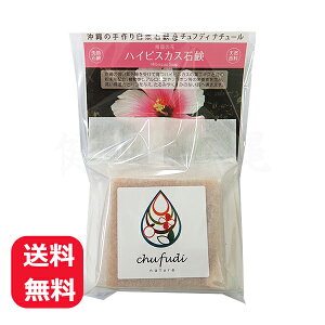 `tfBi`[ nCrXJXΌ 100g y[֑z Ό  {fB[\[v Ō` Ό RX  yY Ƃ nCrXJXGLXI[uIC