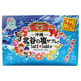 沖縄お土産 お菓子 ナンポー 北谷の塩サブレ 16枚 クッキー 焼き菓子 詰め合わせ 個包装 ばらまき お取り寄せ 沖縄お土産 沖縄のお菓子 ご当地お土産