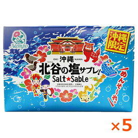 沖縄土産 お菓子 ナンポー 北谷の塩サブレ 16枚×5個 クッキー 焼き菓子 お取り寄せ 沖縄お土産 沖縄のお菓子 北谷の塩 ご当地のお土産