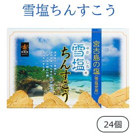 雪塩ちんすこう 24個 南風堂 沖縄土産 お菓子 ちんすこう 塩 サクサク食感 個包装 ばらまきお土産 人気 美味しい おすすめ 沖縄のお菓子 ご当地のお土産 お取り寄せ 小袋 定番