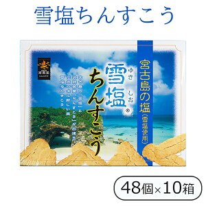 雪塩ちんすこう 南風堂 48個×10個 沖縄 お土産 お菓子 沖縄のお菓子 ちんすこう 塩 個包装 小袋 まとめ買い お取り寄せ ご当地のお土産 ご当地のお菓子 サクサク食感 おすすめ 美味しい