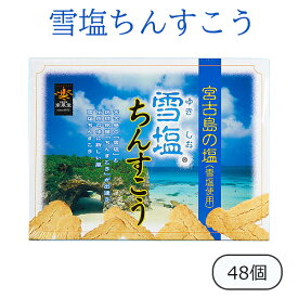 雪塩ちんすこう 南風堂 48個入 ちんすこう 雪塩 塩 沖縄土産 沖縄のお菓子 美味しい おすすめ 個包装 ばらまきお土産 ご当地のお菓子 サクサク食感 小袋