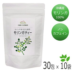 K ꌧYK @̂KeB[ 30×10 K  _ Kt@[񂲉| eB[pbN eB[obO ܂Ƃߔ ̂ ꂨyY N 