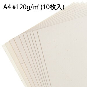      Rs[p A4 120g 10y[֑z { ̂yY nyY t