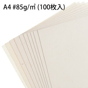     a Rs[p A4 85g 100 { yY nyY