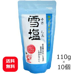 ቖ ^Cv  110g×10 yz p_CXv {Ó̉ ̉  yY   VR C `bNt Y ܂Ƃߔ ~l⋋  u