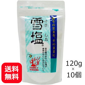 雪塩 宮古島 沖縄の塩 120g×10個【送料無料】 宮古島の雪塩 沖縄 塩 お土産 人気 おすすめ 調味料 沖縄の塩 まとめ買い 美味しい塩 天然塩 海水塩 ご当地お土産 塩にぎり おむすび 焼き魚 焼き肉 焼きそば ミネラル パラダイスプラン