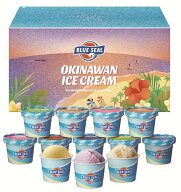 ブルーシール アイス 12個セット 詰め合わせ ギフト 12個入り アイスクリーム 送料無料 ギフト お中元 内…