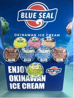 ブルーシールアイス 8個Bセット 詰合せ ギフト 8個入り アイスクリーム 送料無料 ギフト お中元 お返し …