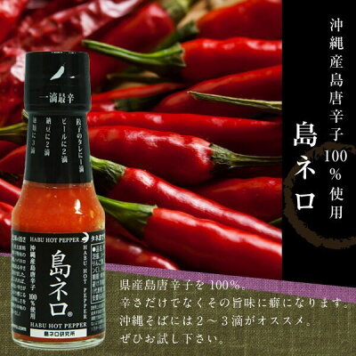 【送料無料】「がんじゅう堂(生)沖縄そば」ギフトセット二人前【同梱不可】