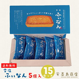 雪塩ふぃなん 沖縄お土産 沖縄土産 雪塩 スイーツ お菓子 焼き菓子 個包装 バラマキ ハロウィン イベント バレンタインデー ホワイトデー 一部送料無料