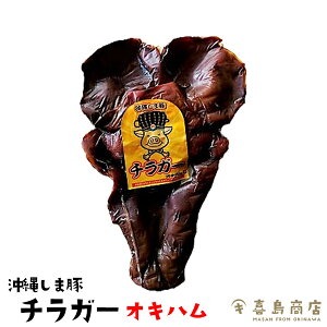 ILn ꂵܓ t`K[  yY r[ ܂ ƈ    ɂ߂ ܂ ̍ n  W[L[