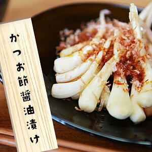 傤 ߏݖЂ ɍ]Y 傤Ђ Y  Е bLE  Ђ 傤  yY ꗿ Hi ꖼ Yi ܂ ꕔ
