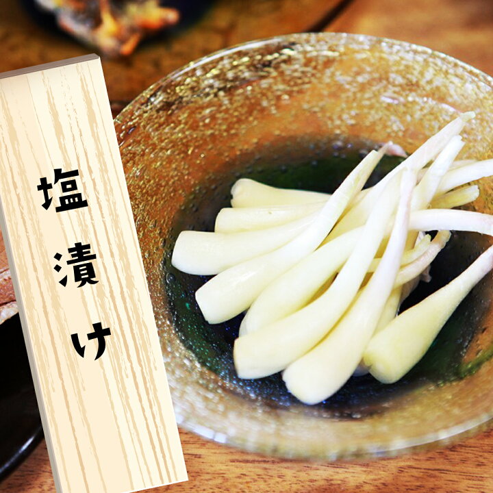 楽天市場】【今だけ新物！】島らっきょう 塩漬け 伊江島産 らっきょう 