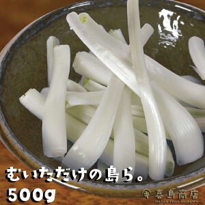 ނ̓傤 ɍ]Y 傤Ђ Y  Е bLE  Ђ 傤  yY ʔ lC 񂹃O ₿ނ ꗿ ꖼ 