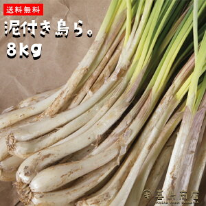  傤 yt Dt傤 ɍ]Y 傤Ђ Y  Е bLE  Ђ 傤 ꂨyY ʔ lC 񂹃O ꗿ 