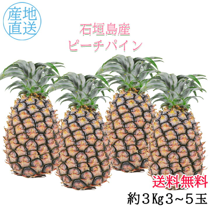 楽天市場】【6月中旬～7月下旬の収穫期間内での発送】送料無料 石垣島 