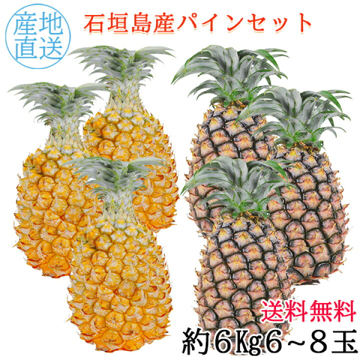 楽天市場】【4月下旬～7月上旬発送】送料無料 石垣島産パイン 2種 