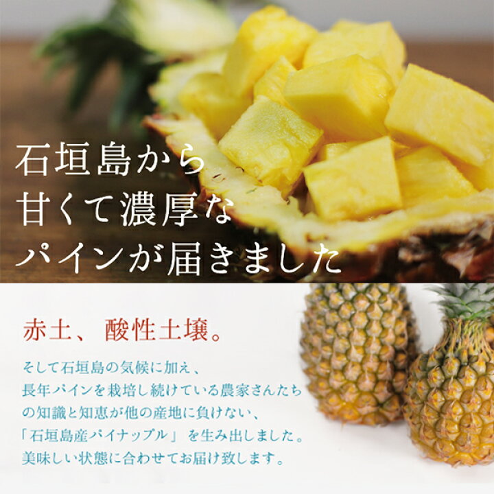 楽天市場】【4月下旬～7月上旬発送】送料無料 石垣島産パイン 2種 