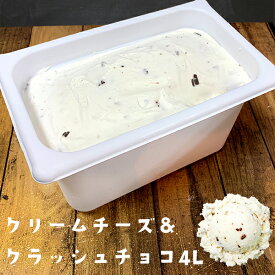 送料無料 クリームチーズ＆クラッシュチョコ アイスクリーム 業務用 4L スノーラグーン 沖縄 スイーツ 冷凍食品 おやつ 沖縄土産 お取り寄せ グルメ 沖縄イベント お祭り パーティ 誕生日 ハロウィン クリスマス 卒業 入学 送別 退職 敬老の日