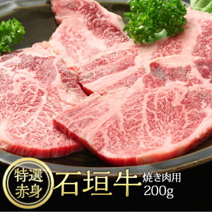Ί_ Ԑg ēp 200g  Ε  Mtg   uh Ⓚ yY 