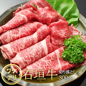 Ί_ 󂠂 ꌧY؂藎Ƃ 300g  yY Ε  Mtg uh Ⓚ ꌧY ؗ A ܂Ƃߔ