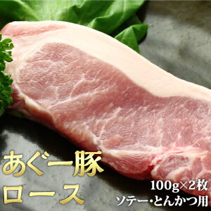 [؁@[X\e[EƂ񂩂p 100g×2x20y|Cg10{bbAO[؁bbΕbbMtgbbuh؁byYb񂹁b܂ƂߔzyyMt_z