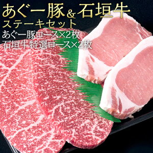 Ί_[ Xe[LZbg spϔt   Mtg Ε  蕨  uh Xe[L