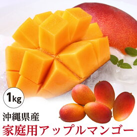 ★ご注文順に出荷中★ 【送料無料】 沖縄県産 アップルマンゴー 家庭用 約1kg（2玉〜4玉） 沖縄 マンゴー 産直 ※日時指定・同梱不可