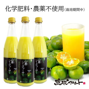 yX[p[DEAL|CgAbviz _sgp RV[N[T[ 720ml×3{Zbg  Y V[N[T[ V[N[T[ ʏ`100% t Xg[g RV[N[T[  