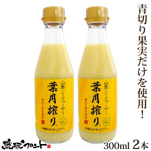 ؂ RV[N[T[ t 300ml×2{Zbg  Y V[N[T[ V[N[T[ ʏ`100% t Xg[g RV[N[T[  ꌧY R ΂ mr`