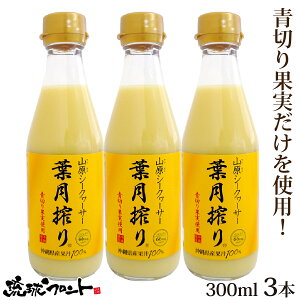 ؂ RV[N[T[ t 300ml×3{Zbg  Y V[N[T[ V[N[T[ ʏ`100% t Xg[g RV[N[T[  ꌧY R ΂ mr`