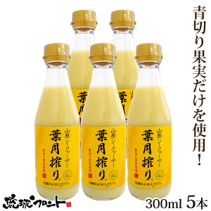 9/19ijח\聚 ؂ RV[N[T[ t 300ml×5{Zbg  Y V[N[T[ V[N[T[ ʏ`100% t Xg[g RV[N[T[  ꌧY 